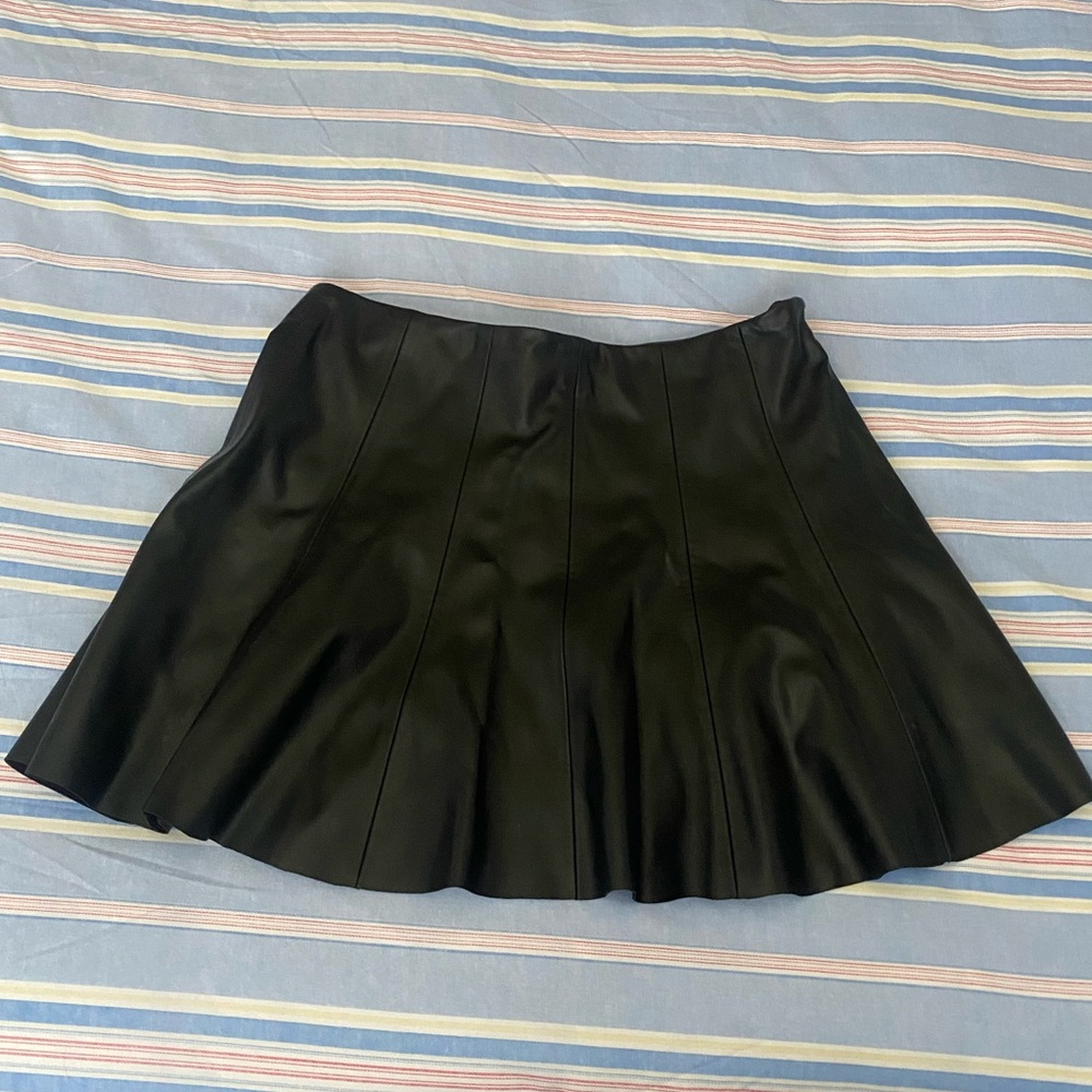 Zara Skirt